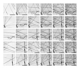 snishimura_l01-2web Lines 01_2 © Sachiyo Nishimura