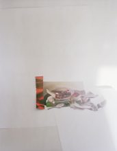 © Laura Letinsky Untitled #24, 2010, courtesy the artist and The Photographers' Gallery, London
