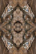 Biosphere © David Thomas Smith Courtesy Copper House Gallery