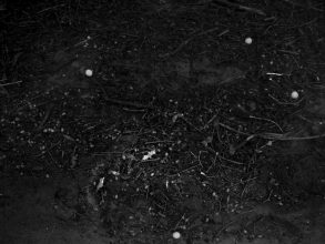 From the series 'Hind Land' @ Tim Bowditch and Nick Rochowski