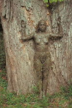 Ana Mendieta, Tree of Life, 1976 © The Estate of Ana Mendieta Collection