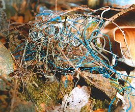 After Schwitters (Cylinders) © John Darwell 