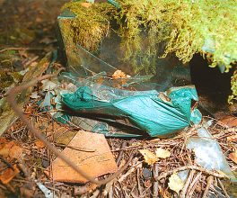 After Schwitters (Cylinders) © John Darwell 