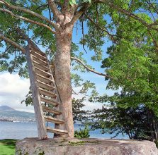 After Schwitters (Hjertøya) © John Darwell 