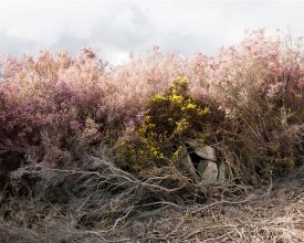 Untitled #25 from 'We Make the Path' by Walking, 2012 © Paul Gaffney