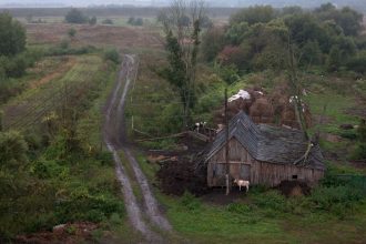 'Landscape with Tied Calf', from 'Clear of People', 2013 © Michal Iwanowski