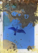 Lunar Caustic (Untitled IX) © Melinda Gibson &amp; Thomas Sauvin