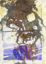 Lunar Caustic (Untitled XIII) © Melinda Gibson &amp; Thomas Sauvin