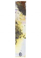 Lunar Caustic (Untitled XVII) ©  Melinda Gibson &amp; Thomas Sauvin