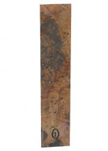 Lunar Caustic (Untitled XVIII) © Melinda Gibson &amp; Thomas Sauvin