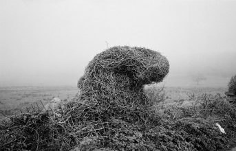 Untitled from 'Hiraeth' © Gareth Phillips 2014 