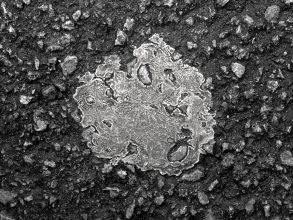 From the series Microcosms, B&amp;W print,  145x112 cm © Effie Paleologou, 2014