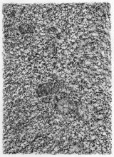 From the series Microcosms, rubbing 18x25 cm © Effie Paleologou, 2014