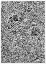From the series Microcosms, rubbing 18x25 cm © Effie Paleologou, 2014