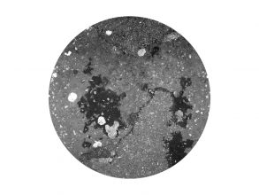 From the series Microcosms, B&amp;W print 80x60 cm © Effie Paleologou, 2014