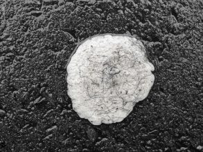 From the series Microcosms, B&amp;W print, 145x112 cm © Effie Paleologou, 2014