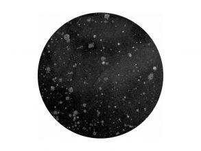 From the series Microcosms, B&amp;W print 80x60 cm © Effie Paleologou, 2014
