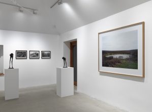 Installation view, ‘Qwaypurlake’, Hauser &amp; Wirth Somerset, 2015 Courtesy the artists and Hauser &amp; Wirth. Photo: Ken Adlard