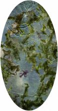 Tide Pool 26. Unique C type print © Susan Derges, courtesy Purdy Hicks