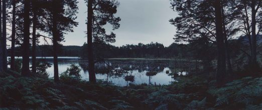 Re-visiting - Loch an Eilein with Nuphar pumila &amp; Pinus – Plate n°1239 Aviemore, Rothiemurchus, August 2014, 57°8.749’ N 3°49.010’ W. © Chrystel Lebas