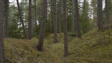 The Wandering Dunes – Culbin Sands, 2014 – (Still) Four channel video installation with sound © Chrystel Lebas