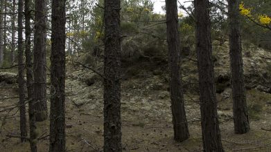 The Wandering Dunes – Culbin Sands, 2014 – (Still) Four channel video installation with sound © Chrystel Lebas