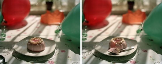 Celebrate (blancmange dentata diptych) 2012 © Dawn Woolley