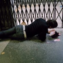 The Substitute (jay tunnel) 2008 © Dawn Woolley