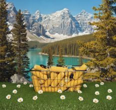 Basket of Corn © Berkin &amp; Mika 