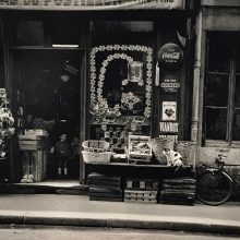 © Marilyn Stafford 