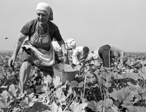 “No I don’t want to own the land, it belongs to everyone. We work hard but the money is ok and we have the surplus of the crops to ourselves.” Field Brigade, State Farm, Women Workers, Russia, (1989), Franki Raffles.