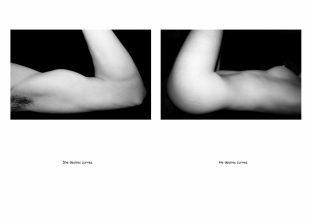 Attraction © Ian Hoskin 