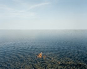 Edgar Martins The albufeira (bayou) of Borba (Alentejo, Portugal)...[full caption in text]