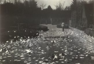 Mariken Wessels Taking Off. Henry, My Neighbor, 2015