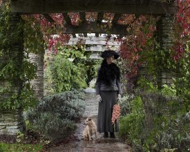 A bird came down the walk © Trish Morrissey 2017