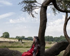 Fallen Tree © Trish Morrissey 2017