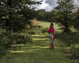 The Road to Town © Trish Morrissey 2017