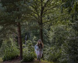 The Woods © Trish Morrissey 2017