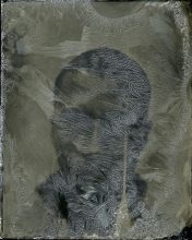 Omar (Crystal) © Almudena Romero 