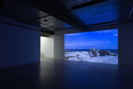 Marcus Coates: The Last of Its Kind - Photomonitor