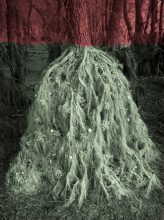 Helen Sear: Diviner #2 (Minerva), 2017 at Martin Asbæk Gallery, Copenhagen 