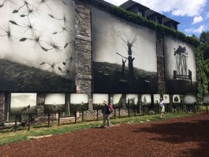 Shana &amp; Robert Parkeharrison, 'Surreal world' Image: Corinne Whitehouse, at La Gacilly Festival 2018