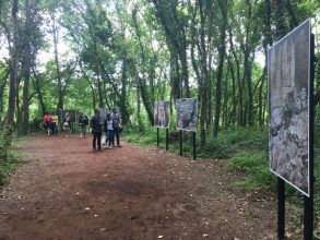 Jean Gaumy, 'After nature' Image: Corinne Whitehouse, at La Gacilly Festival 2018