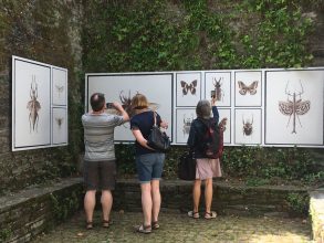 Jan C. Schlegel, 'Of Monsters and Dragons' Image: Corinne Whitehouse, at La Gacilly Festival 2018