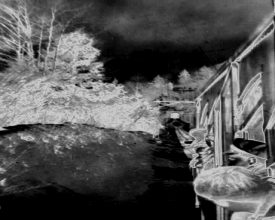 00:00:45:00 (2) ©  Angelo Picozzi 