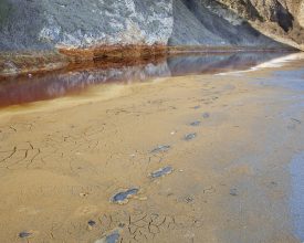 Oxides, clay and colliery spoil. 1.20pm, 11 February 2016, 6°C © Roger Coulam