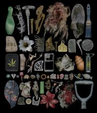 Pictograph No. 6 © Roger Coulam