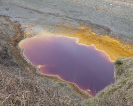Red Lake. 4.30pm, 2 March 2016, 5°C © Roger Coulam