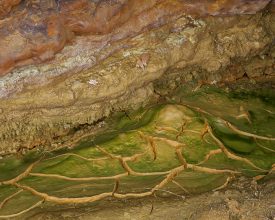 Stained Magnesian Limestone cliff, clay and algae. 1.00pm, 17 May 2016, 16°C © Roger Coulam
