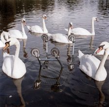 Canal, Leicester. © Robin Maddock. 2007 